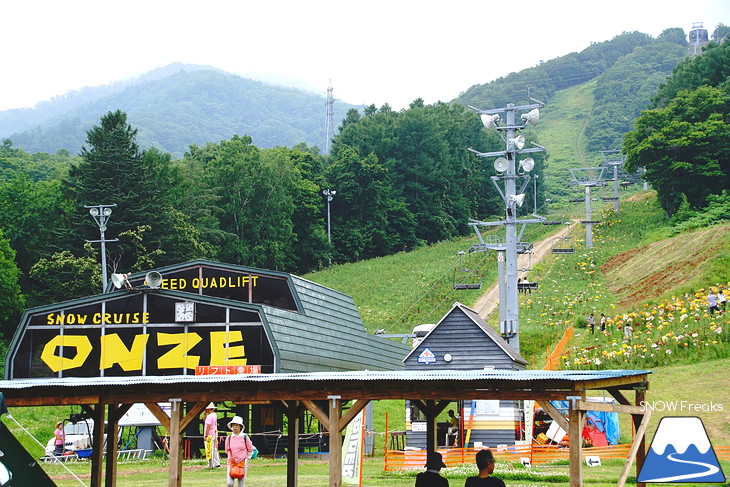 北海道最大級、213万輪のゆりの花！『オーンズ春香山ゆり園』